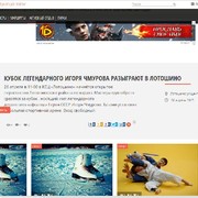 скриншот новостей портала