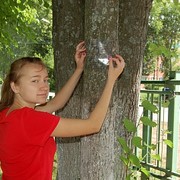 Определение экологического благополучия атмосферы с помощью лишайников